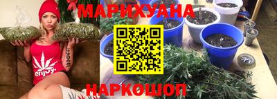 spice Вязники