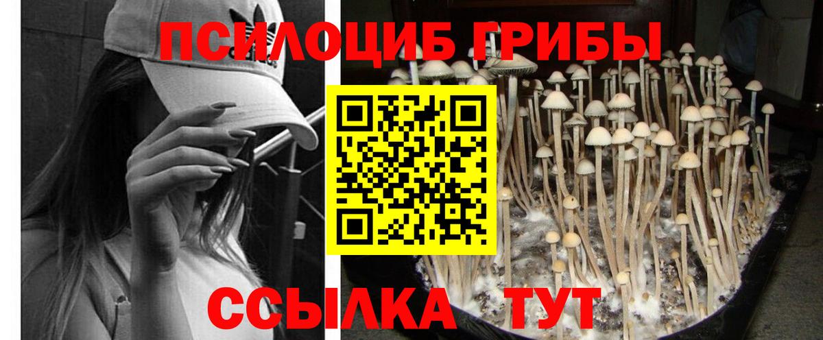 Псилоцибиновые грибы MAGIC MUSHROOMS  Вход с VPN  где найти наркотики  Рязань 